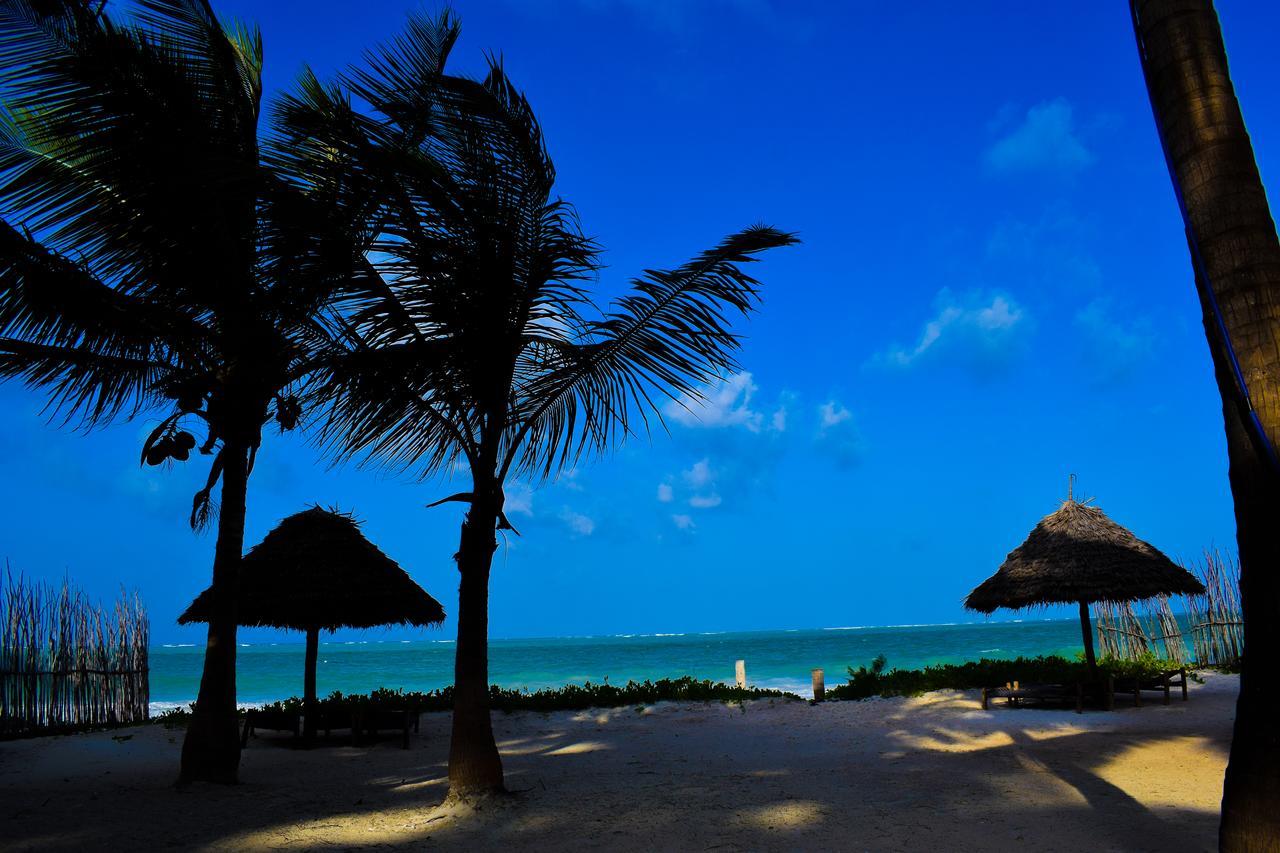 Bwejuu Beach Palm Villa Esterno foto