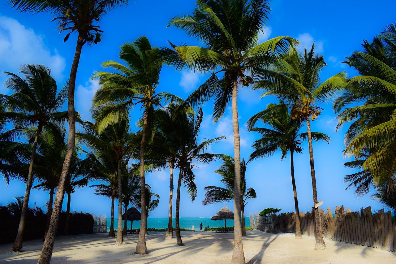 Bwejuu Beach Palm Villa Esterno foto