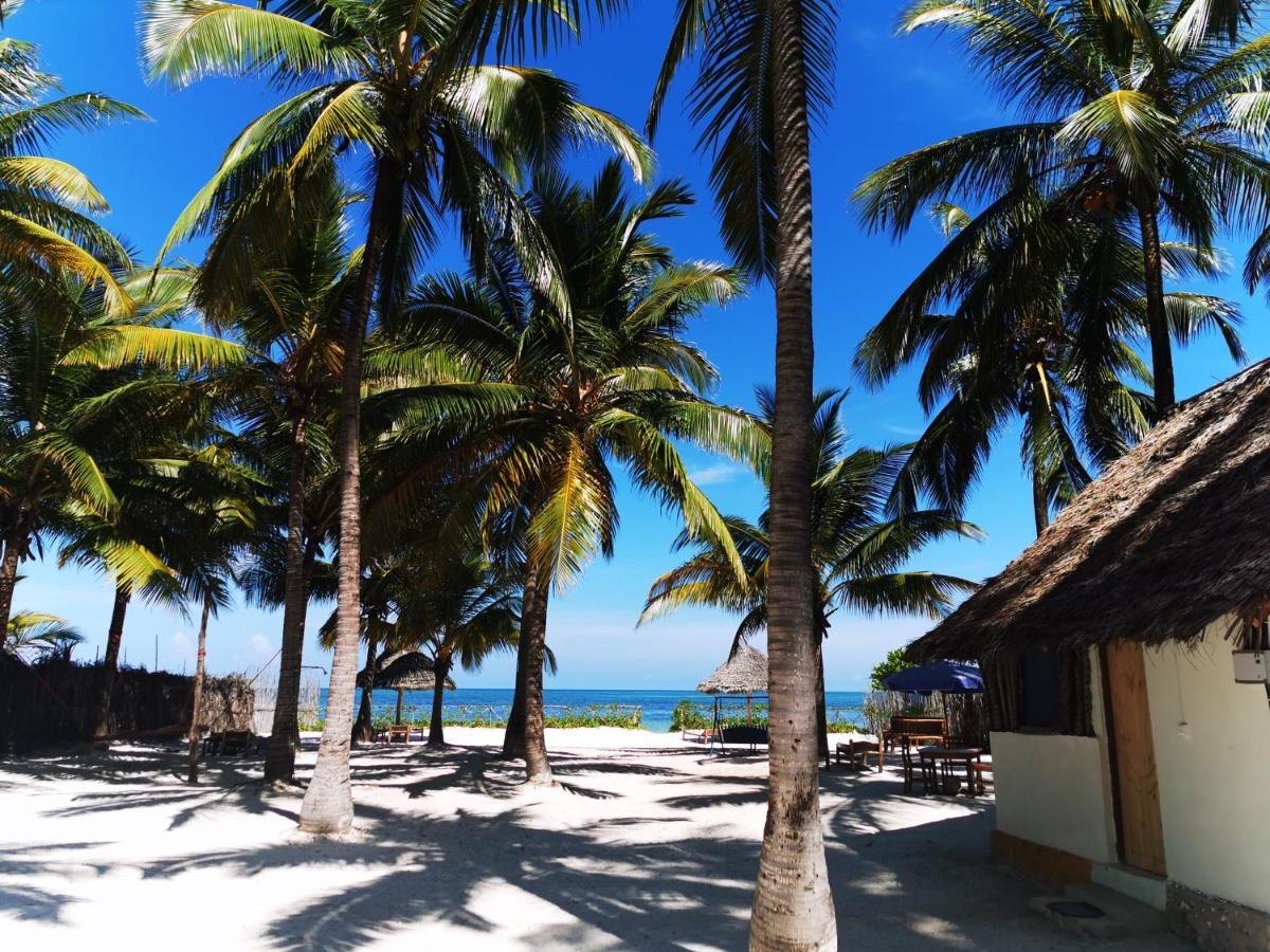 Bwejuu Beach Palm Villa Esterno foto